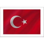 Sticker Fabrikası Türk Bayrağı Ay Yıldız Türkiye Sticker 00969 - Beyaz - Kırmızı - 20 x 13,5 cm