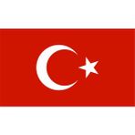 Sticker Fabrikası Türk Bayrağı Türkiye Bayrağı Sticker 40 x 24,5 cm Renkli