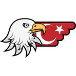 Sticker Fabrikası Türk Bayrağı ve Kartal Sticker 00727 - 26 x 13 cm - Renkli