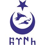 Sticker Fabrikası Türk Bayraklı Ay Yıldız Kurt Göktürk Yazısı Sticker 00672 - 18 x 10,5 cm - Mavi