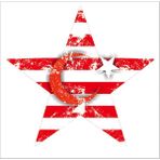 Sticker Fabrikası Yıldızlı Türk Bayrağı Sticker 00923 - Beyaz - Kırmızı - 12 x 12 cm