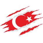 Sticker Fabrikası Yırtıklı Türk Bayrağı Pençe İzi Türk Bayrağı Sticker 00034 25 x 18,5 cm Renkli