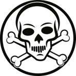 Sticker Masters Bone Skull Sticker