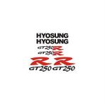 Sticker Masters Hyosung Gtr 250 Sticker Set