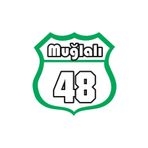 Sticker Masters Muğlalı 48 Oto Sticker