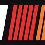 Sticker Masters Ralli Art Sticker