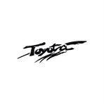 Sticker Masters Toyota Stepne Sticker