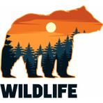 Sticker Usta Ayı - Doğa - Manzara - Kamp - Wild Life -Off Road - Adventure -Bear - Kamp Wildlife Offroad Sticker 02060 Renkli 80x72 Cm