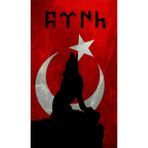 Sticker Usta Bayrak Kurt Türk Börü Gökbörü Göktürkçe Ay Yıldız Uluyan Kurt Sticker Araba Sticker Oto Sticker Motosiklet Sticker 01613 - Renkli - 20x12 Cm