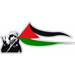 Sticker Usta Filistin Bayrağı Palestine Özgür Filistin 02509 Renkli 15x6 Cm