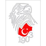 Sticker Usta Kara Kartal Beşiktaş 1903 Sticker 00966 Beyaz 25 x 18 cm