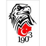 Sticker Usta Kara Kartal Beşiktaş 1903 Sticker 00966 Siyah 18 x 13 cm