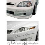 Sticker Usta Kişiye Özel 2 Adet Isim Sticker El Yazısı Isim Oto Araba Motosiklet Sticker Q35 - 30 Cm - Gri