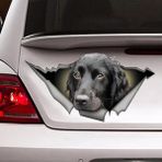 Sticker Usta Köpek Bagajdan Bakan Köpek Araba Oto Motosiklet Karavan Sticker 00141 - 15x8 Cm - Renkli