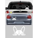 Sticker Usta Köpek Bağajdan Bakan Köpek Araba Oto Motosiklet Karavan Sticker 00429 - 20x14 Cm - Beyaz