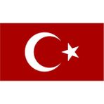 Sticker Usta Türk Bayrağı Ay Yıldız Bayrak Araba Oto Motosiklet Karavan Sticker 00068 - 12x6,5 Cm - Renkli