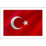 Sticker Usta Türk Bayrağı Ay Yıldız Türkiye Sticker 00969 Beyaz - Kırmızı 20 x 13,5 cm