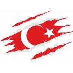 Sticker Usta Türk Bayrağı Sticker - 20184 Renkli 50x37 Cm