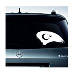 Sticker Usta Türk Bayrağı Sticker, Ay Yıldız, Türkiye, 00786 Beyaz 10x5 Cm