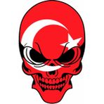 Sticker Usta Türk Bayraklı Kurukafa Sticker Araba Oto Motosiklet Karavan Sticker 00149 - 12x8 Cm - Renkli