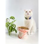 Stilin Bu Kedi Mama Kabı El Yapımı Seramik Turuncu