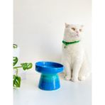 Stilin Bu Seramik Kedi ve Kopek Mama Su Kabı Turkuaz Mavi