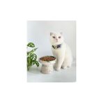 Stilin Bu Seramik Kedi ve Köpek Mama Su Kabı(YEŞİL-BEYAZ)