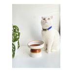 stilinbu Seramik Kedi ve Kopek Mama Su Kabı (Beyaz-Açık Kahverengi)
