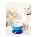 stilinbu Seramik Kedi Ve Köpek Mama Su Kabı Luna Model( Mavi -lacivert)