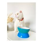 stilinbu Seramik Kedi ve Köpek Mama Su Kabı Luna Model (TURKUAZ)