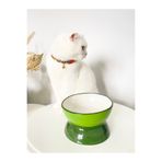 stilinbu Seramik Kedi ve Köpek Mama Su Kabı Luna Model (YEŞİL)