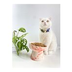 stilinbu Seramik Kedi Ve Köpek Mama Su Kabı (TURUNCU-BEYAZ-EBRU DESEN-M2)