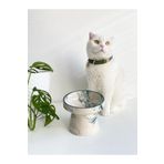 stilinbu Seramik Kedi Ve Köpek Mama Su Kabı (yeşil Çizgili-ebru Desen-m2)
