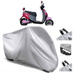 Stmax Viva 250 Elektrikli Motor Brandası
