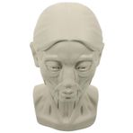 STOBOK Taslak avatar öğretim yardımcıları kafalar eskiz heykel insan pratik figür reçine kalıp reçine kroki katıları eskiz kalıbı öğretim yardımı kroki reçine heykel eskiz modeli