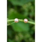 Stoneage Pembe İnci Doğal Taş Bayan Küpe