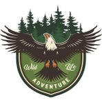 Store Aksesuar Adventure Camping Off Road Sticker Kartal Eagle Sticker 14 x 13 cm