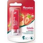 Store Fullf Himalaya Parlatıcı Dudak Kremi, Lip Balm, Çilek, Kayısı Çekirdeği Yağı, NEMLENDIRICI,%100 Doğal Renk, Silikon Içermez, 4,5 gr