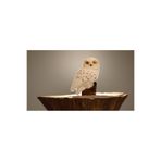 Store Harry Potter Hedwig Baykuş Figür