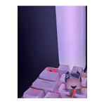 Store Valorant Clove Mekanik Keycap