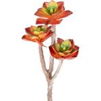 Store Yapay Kaktüs Sukulent Kırmızı 35 cm