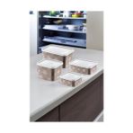 Storemax 4'lü Set No Frost Saklama Kabı Terra (Tüm Boylar) - 0,33 - 0 Siyah