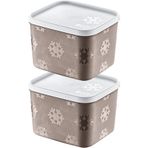 STOREMAX cmllashop 2'Li Set No Frost Saklama Kabı Terra 1250 ML 542093