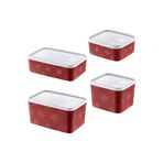 STOREMAX daiviolastore 4'Lü Set No Frost Saklama Kabı Carmen (tüm boylar) DLStore 990396
