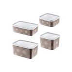 STOREMAX daiviolastore 4'Lü Set No Frost Saklama Kabı Terra (tüm boylar) DLStore 990396