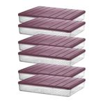 STOREMAX ELZ Home - Nora 6'lı 2.5 Litre Büyük Boy Mürdüm Saklama Kabı FRNTR 1127478