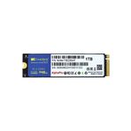 STOREMAX NVME1TB2280AP 1TB 3600-3250MB/s M.2 SSD Sabit Disk FxYM 1126906