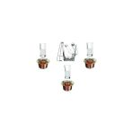 Storemax Rakı Ehlikeyf Buz Kovası Set 8 Parça 3 Kişilik 8697JH54748490573
