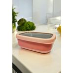STOREMAX srhtDS Ahmet Dikdörtgen Saklama Kabı 820 Ml Pembe Vp-929, Pembe Desing 266450