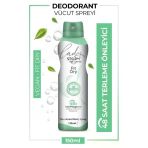 Storm Deodorant 150Ml Kadın Yeşil